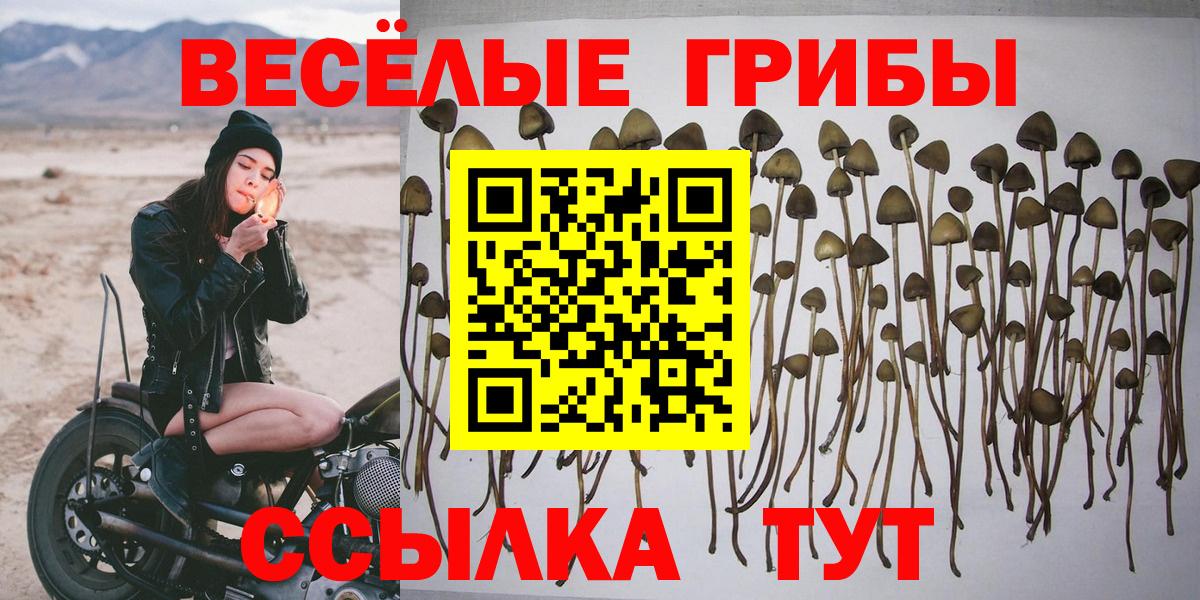 Псилоцибиновые грибы GOLDEN TEACHER  Вход с VPN  Ишим 